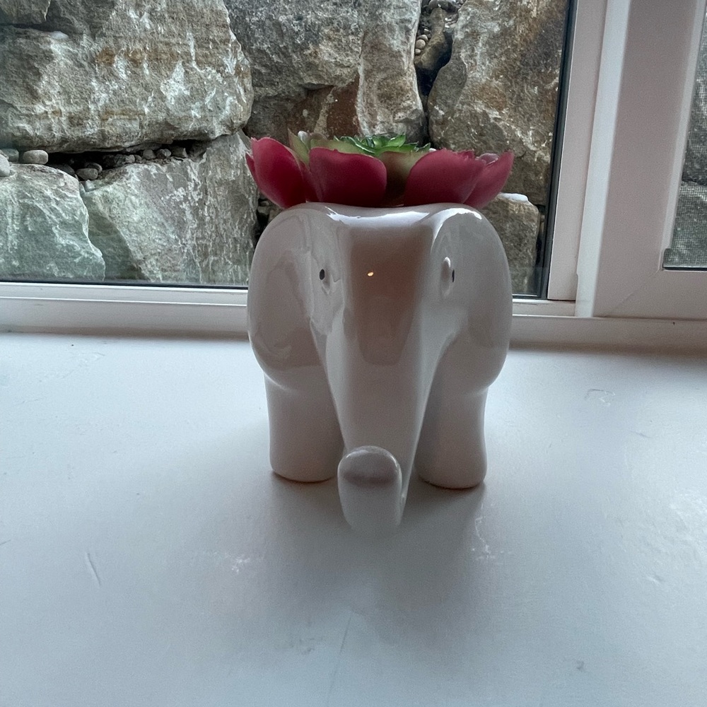 Artificial faux succulent plant - Picture 4 of 6